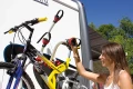stock-article-image (3).webp