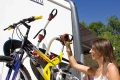 stock-article-image (4).webp