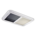 obraz_2021-01-07_203433.png
